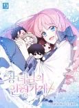 The Princess's Doll Shop cover