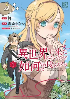 Isekai ni Kita Mitai dakedo Dou Sureba Yoi no Darou cover