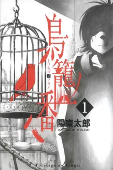 Birdcage Castle cover