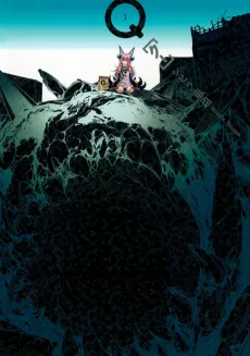 Q cover