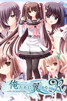 Oretachi ni Tsubasa wa Nai: Hadairo Ritsu Kyuuwari Zou!? cover