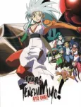 Tenchi Muyo! Ryo-Ohki: Final Confrontations cover