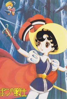 Princess Knight cover