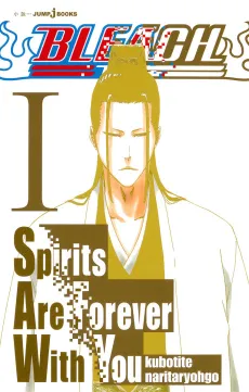 Bleach: Spirits Are Forever With You cover