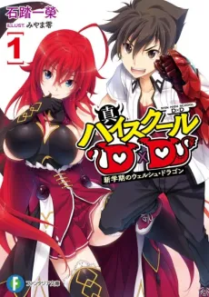 Shin High School DxD cover