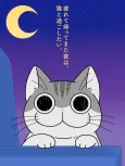 Nights with a Cat Season 2 cover
