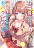 An Introvert's Hookup Hiccups: This Gyaru Is Head Over Heels for Me! cover