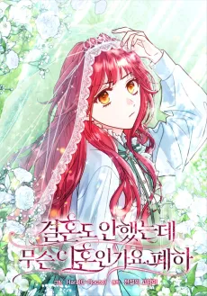Divorcing the Emperor cover