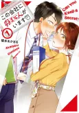 I Have a Crush at Work cover