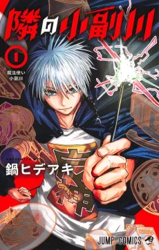 The Mage Next Door cover