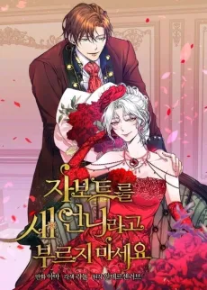 Don't Call Javotte an Evil Stepsister cover