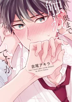 Oku Made Furete mo Ii Desu ka cover