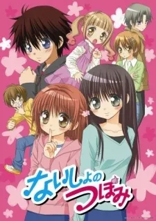Naisho no Tsubomi cover