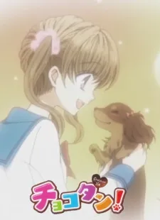 Chokotan! cover