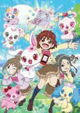 Jewelpet Happiness cover