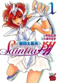 Saint Seiya: Saintia Shō cover