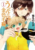 Udon no Kuni no Kiniro Kemari cover