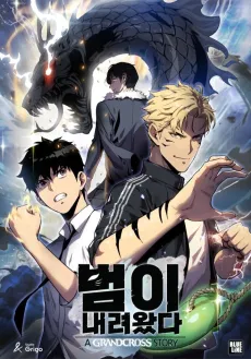 Down Came the Tiger cover