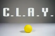 C.L.A.Y. cover