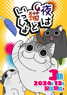 Nights with a Cat Season 3 cover
