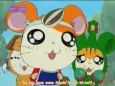 Hamtaro Hai! cover