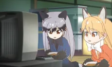 Nissin no Donbei x Kemono Friends: Fukkura cover