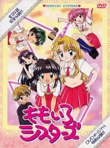 Momoiro Sisters cover