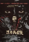 Manual of Ninja Martial Arts cover