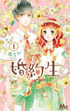 Konyakusei cover