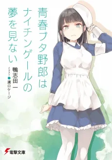 Rascal Does Not Dream of a Nightingale cover