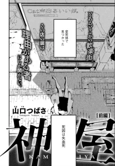 Kamiya cover