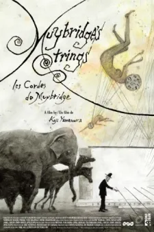 Muybridge's Strings cover
