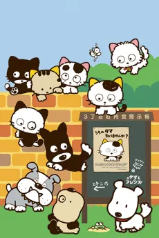 TAMA of the 3rd District -Have You Seen My TAMA? cover
