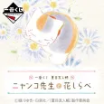 Ichiban Kuji Natsume Yuujinchou: Nyanko-sensei to Hana Shirabe cover