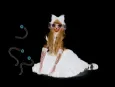 BIBLIOMANIA cover