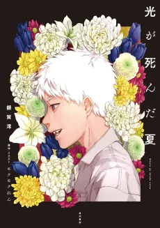 The Summer Hikaru Died cover