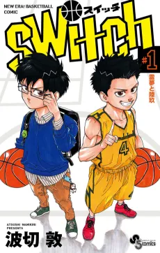 Switch cover