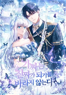 The Fake Lady of House Silkisia cover