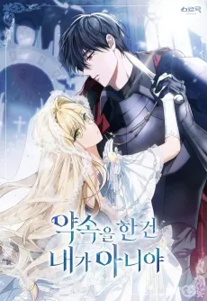 The Promise Isn't Mine cover