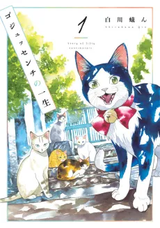 A Story of Seven Lives cover