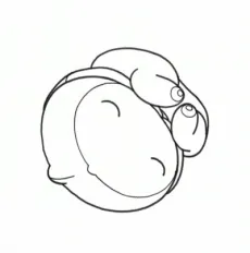 The Embryo Develops into a Fetus cover