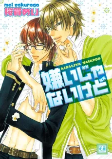 Kirai ja Nai kedo cover