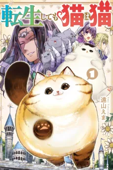A Cat Is a Cat in Any Life cover
