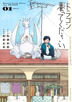 Please Look After the Dragon cover