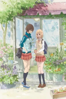 Kase-san and Morning Glories cover