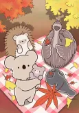 Koala's Diary cover