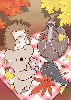 Koala's Diary cover
