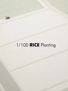 1/100 Rice Planting cover