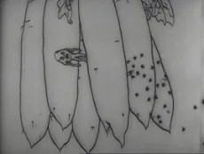Diseases Spread cover