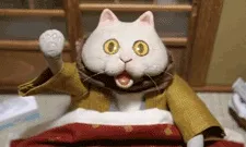 Kotatsu Cat cover